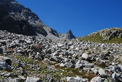 Alp Mulix (2500m)